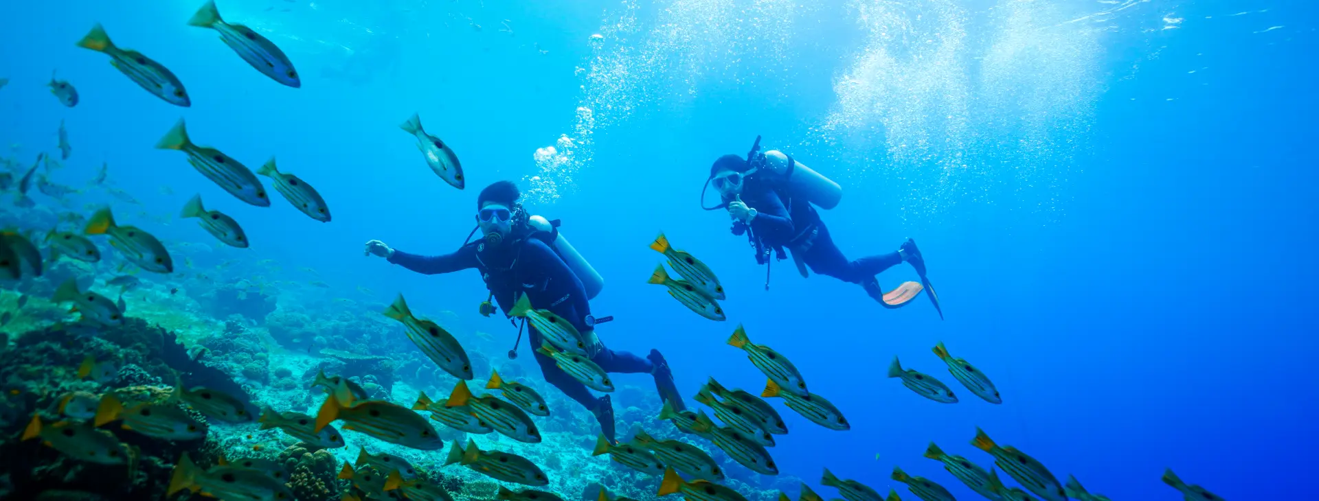 세부 펀다이빙 투어