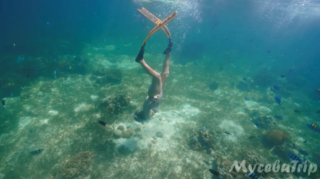 세부 프리다이빙 호핑투어 날루수안 - 2025년 10월 28일