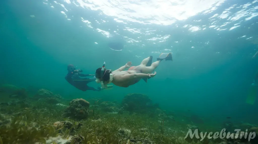 세부 프리다이빙 호핑투어 날루수안 - 2025년 10월 28일