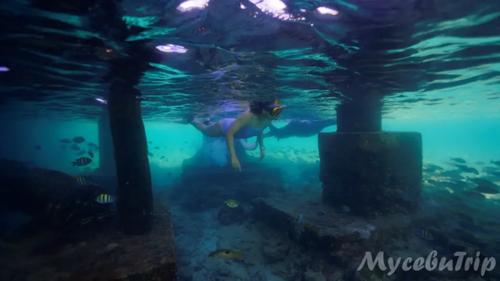 세부 프리다이빙 호핑투어 날루수안 - 2025년 10월 28일