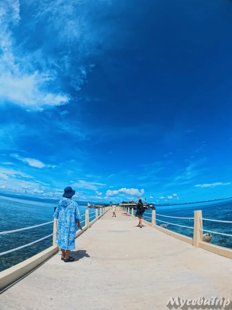 세부 프리다이빙 호핑투어 날루수안 - 2025년 10월 28일