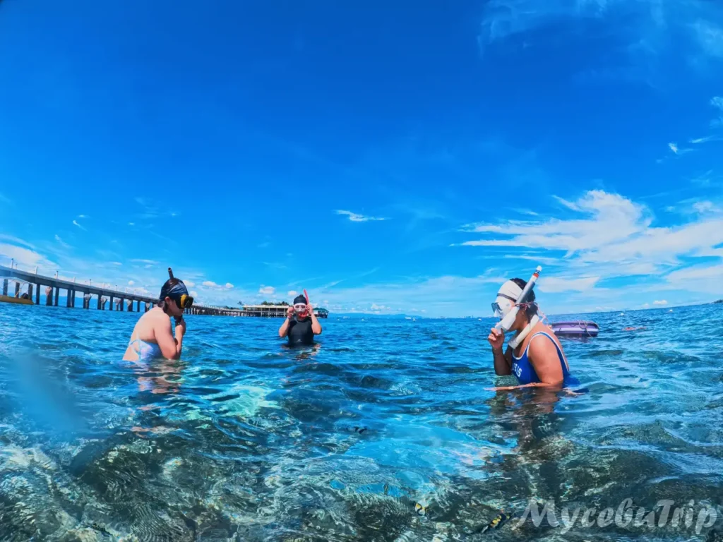 세부 프리다이빙 호핑투어 날루수안 - 2025년 10월 28일