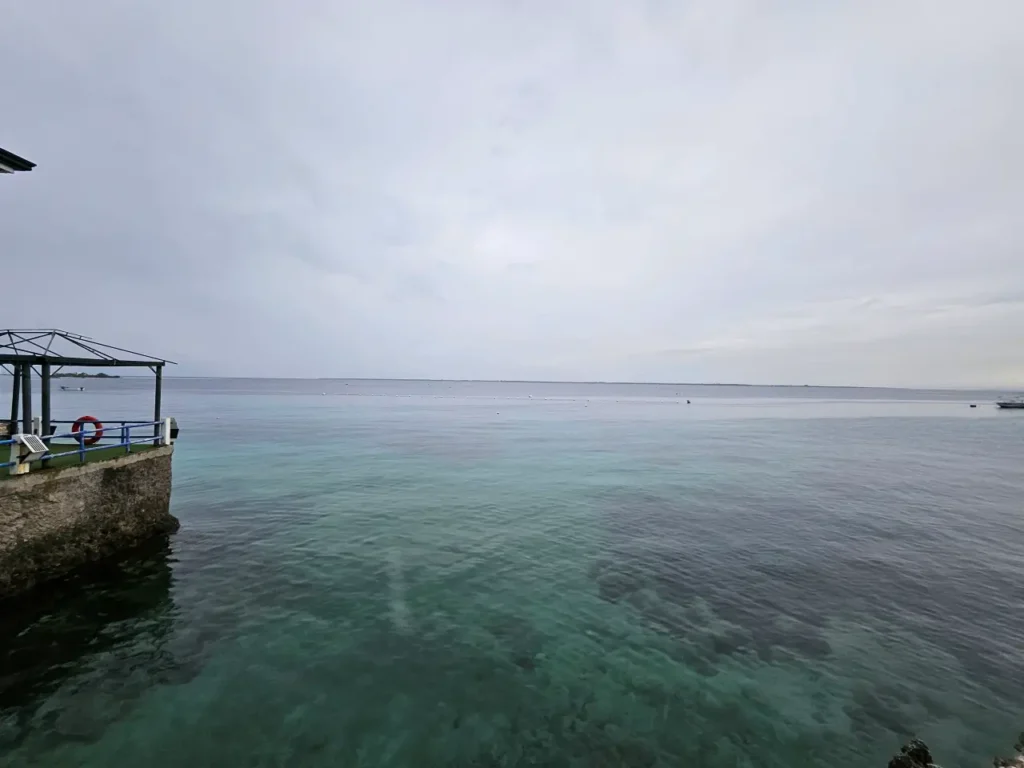 태풍 갈매기 세부 접근 중 - 모든 투어 중단