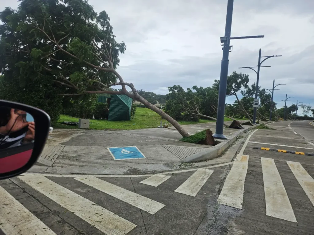 태풍 갈매기 통과 직후 세부 막탄 현지 상황 - 막탄 뉴타운