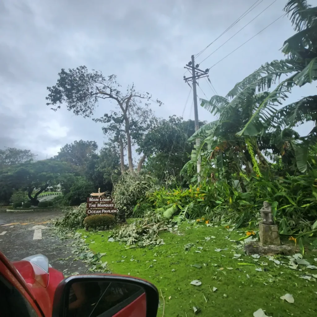 태풍 갈매기 통과 직후 세부 막탄 현지 상황 - 샹그릴라 리조트 주차장 입구