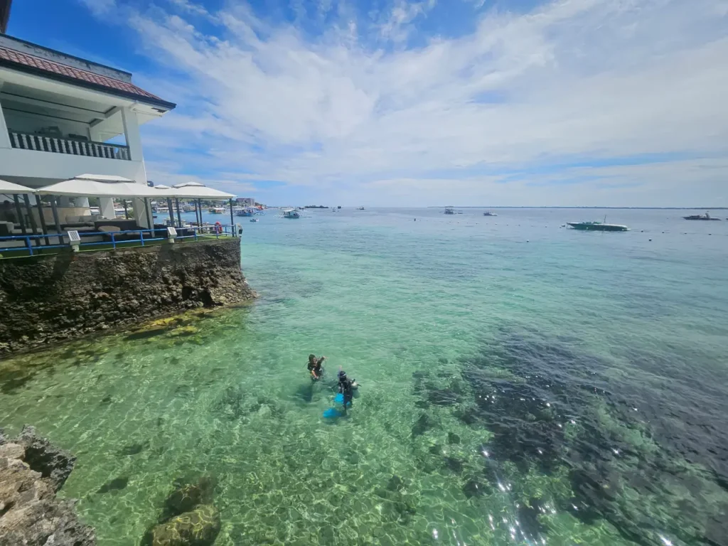 세부 지진 후 정상영업중