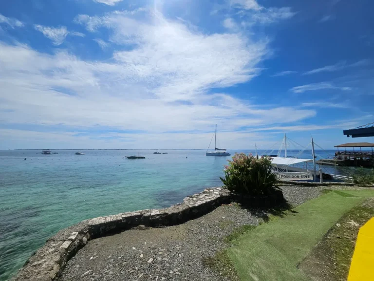 세부 지진 후 정상영업중