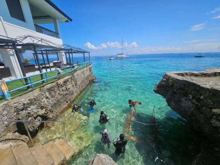 태풍 '갈매기' 이후 맑아진 세부 바다에서 다이빙을 즐기는 여행객들 - 마이세부트립 정상영업