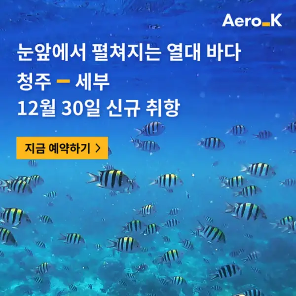 청주 세부 직항 매일 운행